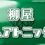 【徹底検証】柳屋ヘアトニックの効果と正しい使い方!発毛剤との違いや「おじさん臭い」噂の真相 柳屋 ヘアトニック